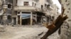 Bosanski rat nudi lekcije za sirijski sukob