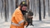 Спасение коал из горящего леса вблизи города Аделаида. Австралия, 7 января 2020 года