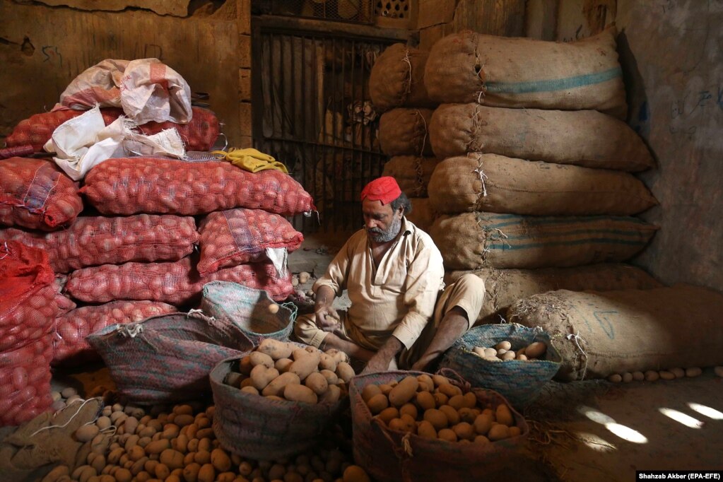 A worker sorts potatoes at a market in Karachi, Pakistan. (epa-EFE/Shahzaib Akber)