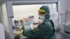 В лаборатории трансмиссивных вирусных инфекций, Омск, январь 2020 года 