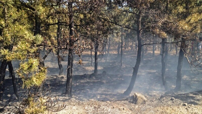 Спасатели два дня тушили лесной пожар в Бахчисарайском районе