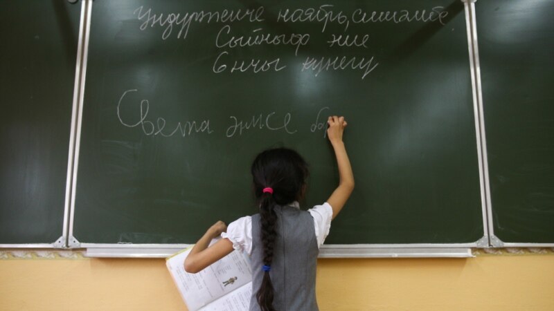 Минобразу Татарстана предстоит разработать новые учебники татарского языка
