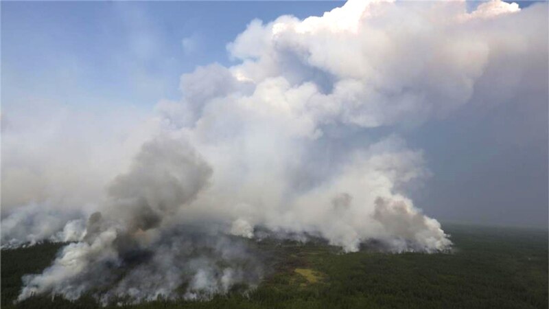 Счетная палата РФ: ущерб от лесных пожаров составил 2,4 миллиарда рублей 