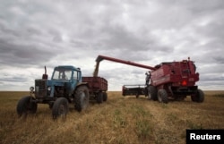 На полях в Акмолинской области собирают урожай. 10 сентября 2013 года. Иллюстративное фото.