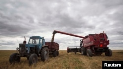 Власти Узбекистана требуют от фермеров отдать им весь урожай пшеницы. 