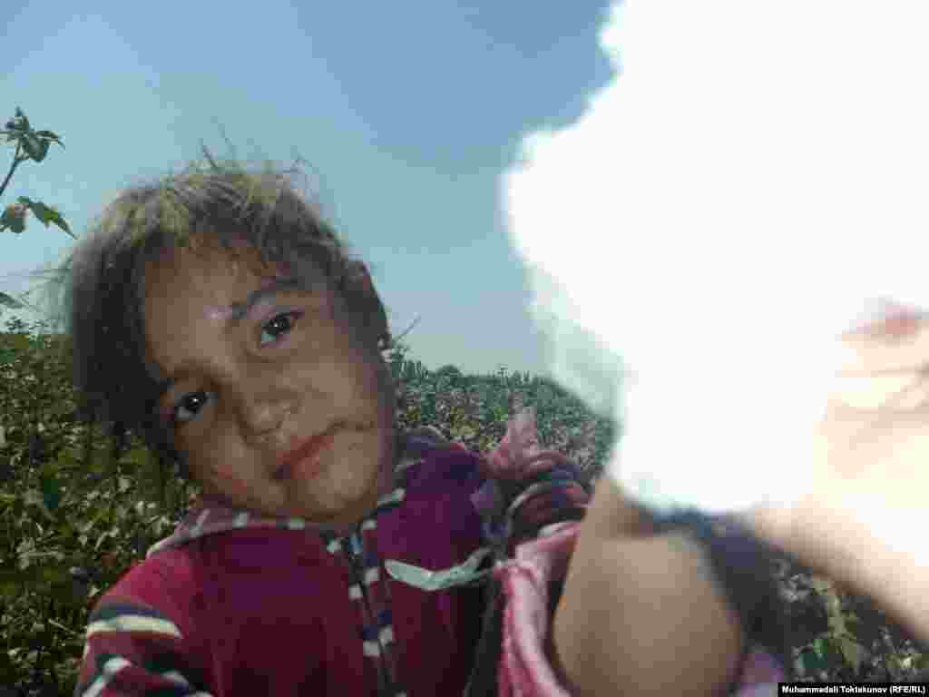 A young girl picks cotton near the Kyrgyz city of Osh.