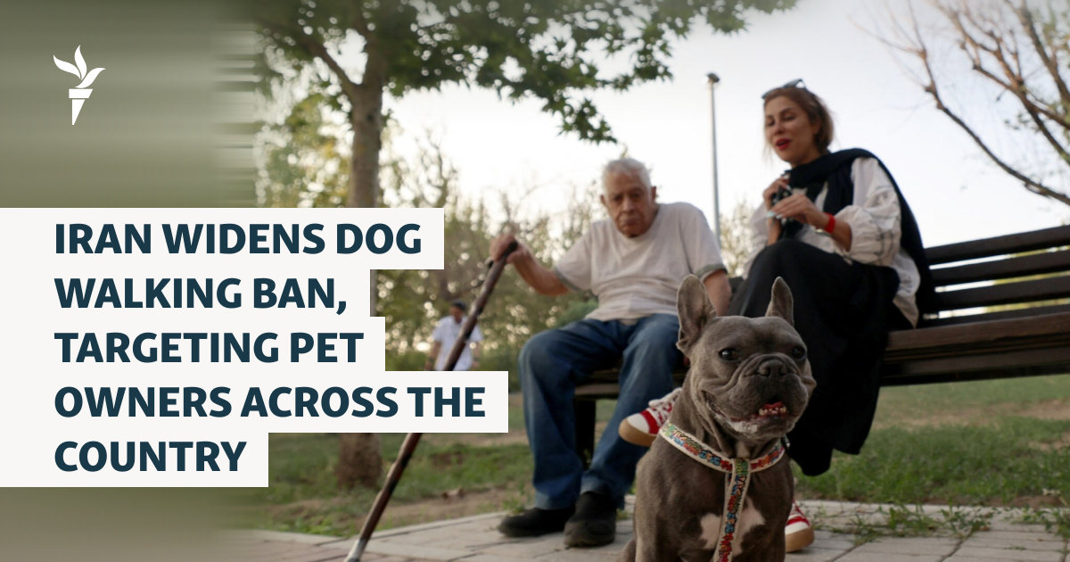 Iran Widens Dog Walking Ban, Targeting Pet Owners Across The Country