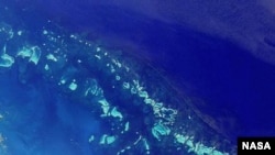 Большой Барьерный риф. Австралия. Спутниковая фотография.