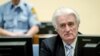 У квітні розглянуть апеляції екс-лідера боснійських сербів Караджича щодо звинувачень у геноциді – трибунал