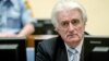 Радован Караджич оскаржив вирок Гаазького трибуналу
