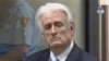 Karadžić kriv za genocid, kazna - 40 godina zatvora