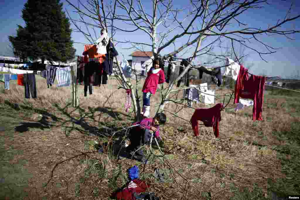Bulgaria -- Syrian children play on a tree as they wait for the distribution of food outside a refugee center in Sofia, October 29, 2013