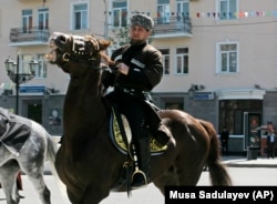 Скаковые лошади Рамзана Кадырова зарабатывают в три раза больше, чем он сам