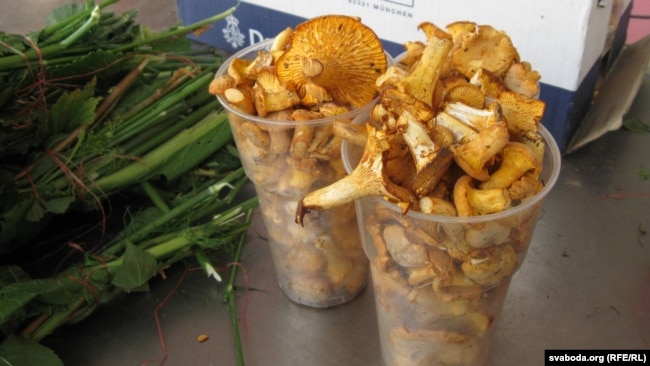 Ілюстрацыйнае фота