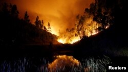 Лісова пожежа в центральній частині Португалії, 18 червня 2017 року