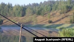 ФОТА ДНЯ: Вязынка, раніца. Андрэй Зьмітровіч