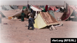 از ماه اپریل امسال به این‌سو ۲۵۰ هزار افغان در نتیجۀ جنگ و خشک‌سالی از خانه‌هایشان بی‌جا شده‌اند.