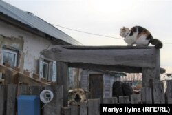 Игнатьево