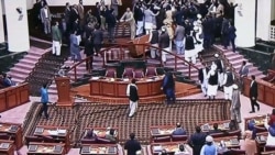 Afghan Lawmakers Brawl As New Speaker Tries To Take Seat