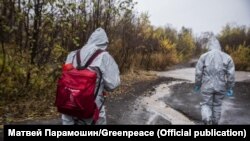 Активисты "Гринпис" ищут источник загрязнения на Камчатке