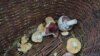 З початку року в Україні дикорослими грибами отруїлися 60 людей, 1 людина померла – ЦГЗ