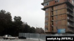 Бишкектеги "Ата-Түрк" паркындагы бак-дарактарды аёосуз кыйып, бул жерге үй салынган.