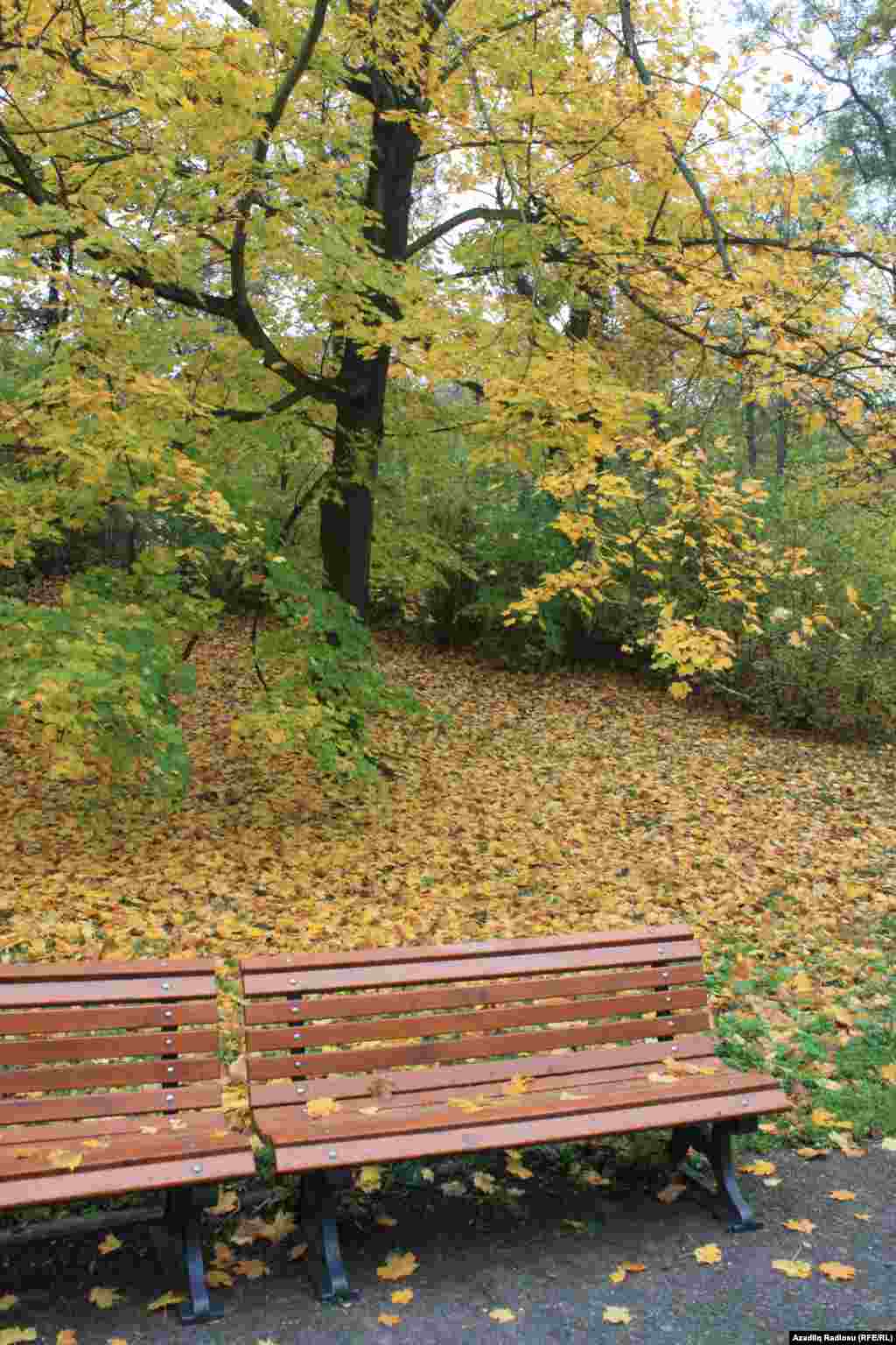 Czech Republic - Autumn in Prague (Photos by RFERL Azeri Service correspondent Rovshan Gambarov)