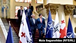 Политическая элита факт проведения ПА НАТО в Тбилиси считает серьезным шагом на пути интеграции Грузии в евроатлантические структуры