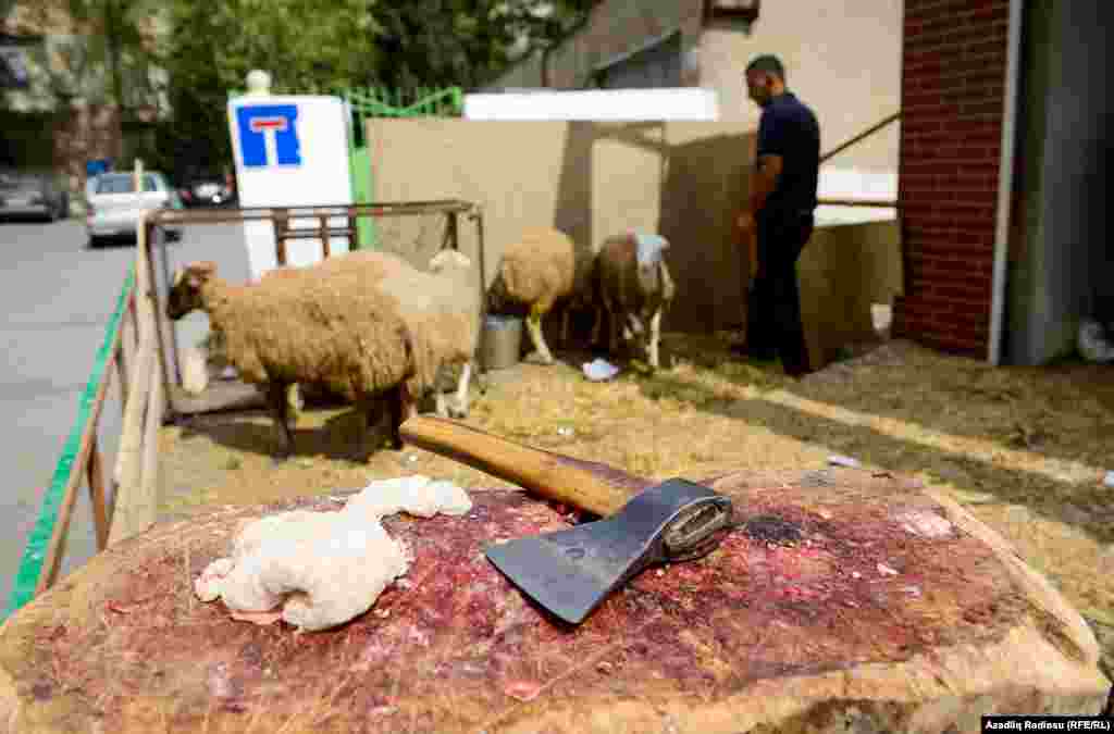 Qurban çaluv. Baku, Azerbaycan