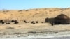 Чабанское стойбище в пустыне Каракум. Туркменистан (иллюстративное фото)  