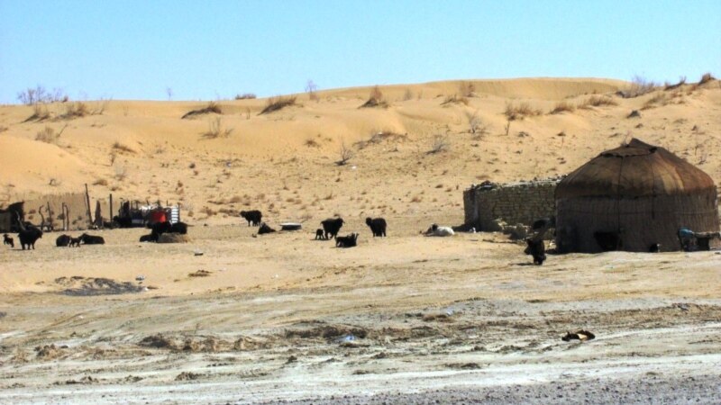 Sowukda goşlarda mallar ölýär, çopanlara kynçylyklar barada gürlemezlik tabşyrylýar