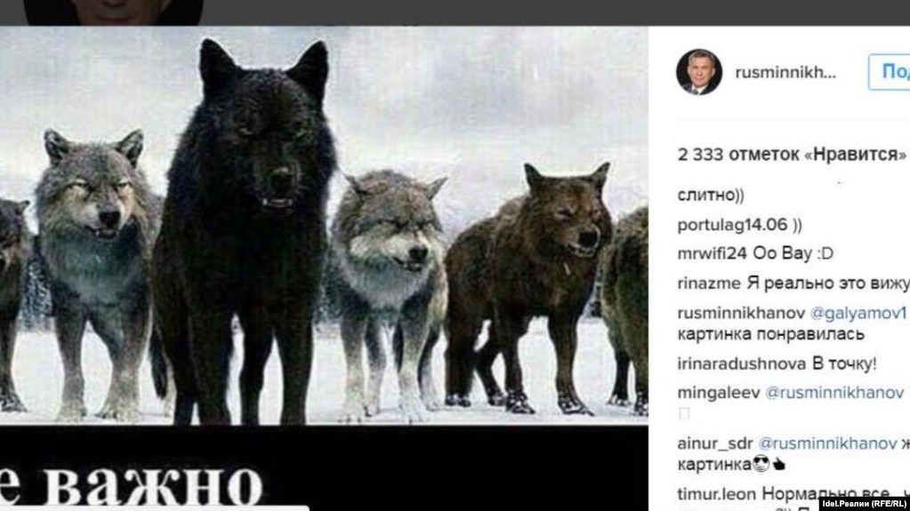 картинки с надписями с волками онлайн картинки с надписями с волками