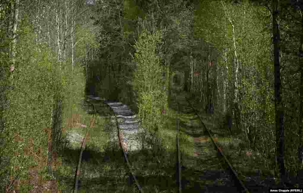 Close to the factory, the railway splits and (left) runs to a military base hidden in the forest. Photographing military sites during Ukraine’s current war footing isn’t wise, but a glance at Google maps shows large numbers of military vehicles on the base. Sadovnyk says during the paranoia of the Soviet era, trees were deliberately planted alongside the track to conceal the transport of military hardware.