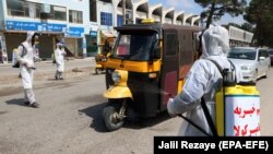 آرشیف، هرات