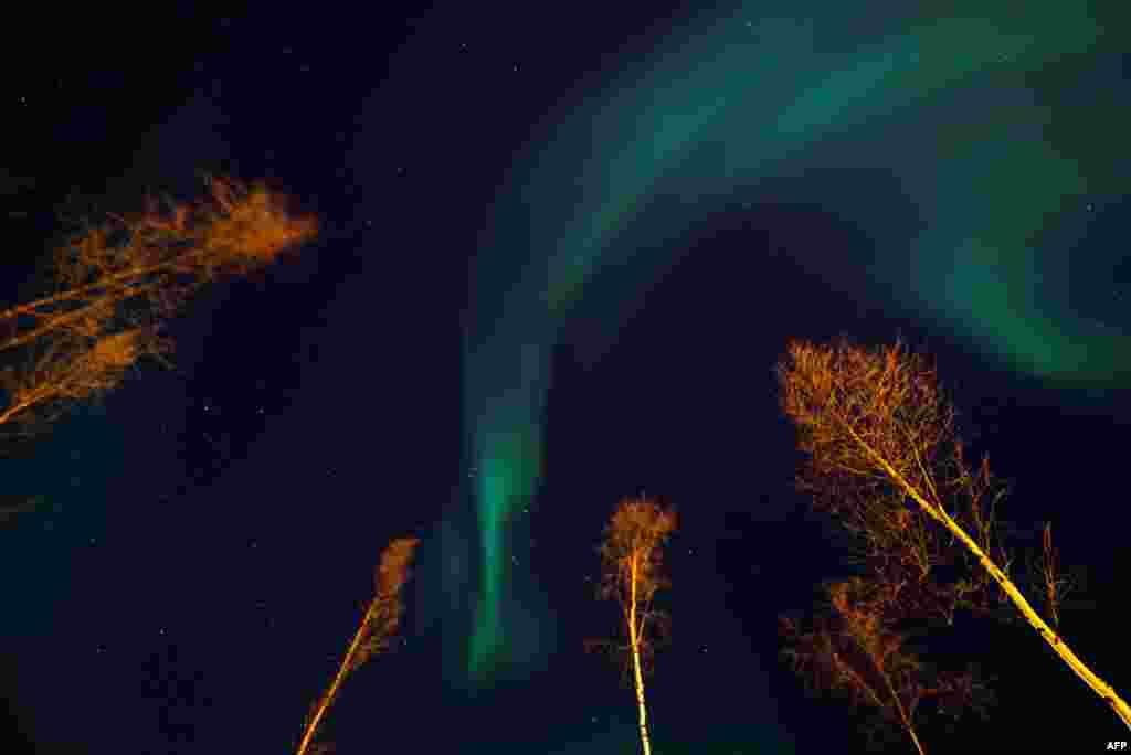 The Northern Lights illuminate the night sky in Alta, northern Norway. (AFP/Jonathan Nackstrand)
