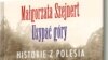 Poland - Malgorzata Szejnert. Usypac gory, book cover