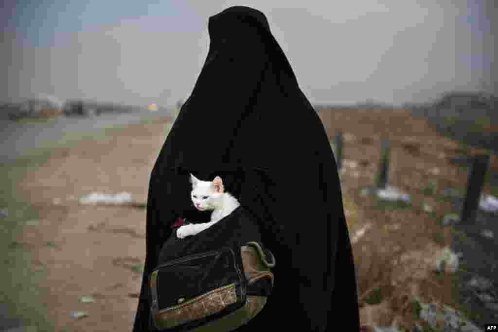 A displaced Iraqi woman holds her cat, Lulu, as she waits for transport in the Iraqi Kurdish checkpoint village of Shaqouli, about 35 kilometers east of Mosul, after she fled her home in the embattled city with her children and took refuge at a camp in Irbil. Iraqi forces are taking part in an operation to recapture Iraq's second city from Islamic State militants. (AFP/Odd Andersen)