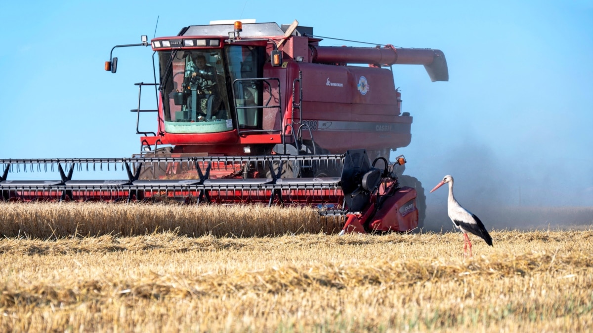 Кабмін змінив правила для експорту аграрної продукції в умовах воєнного стану