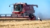 Выход России из Черноморского соглашения может привести к росту мировых цен на зерно на 10-15%
