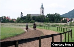 Конезавод в чешском городке Крабчице