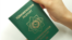 Türkmenistanyň biometriki pasporty. Bezeg suraty 