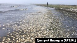 Көрнекі сурет.