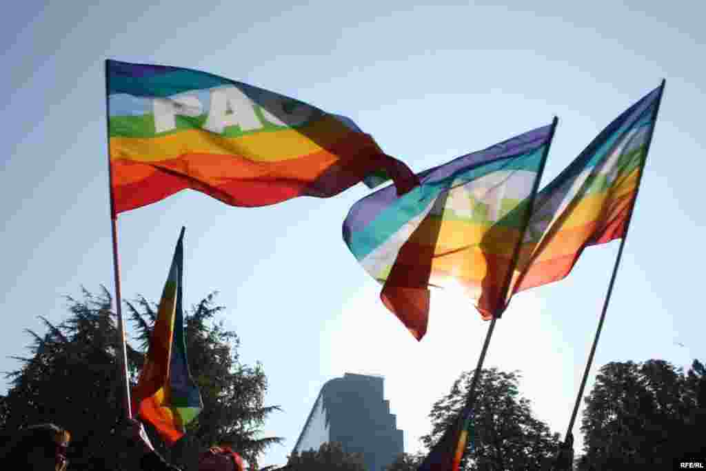 A Battle For Gay Rights In Belgrade #31