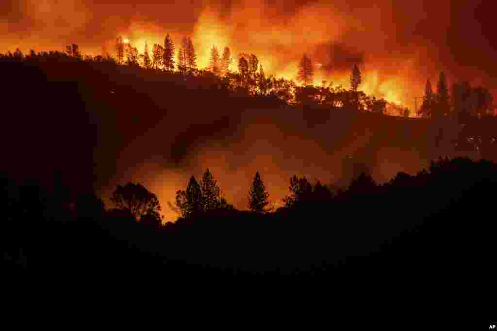 По его мнению, пожары случаются из-за нецелесообразного расходования выделенных средств и из-за того, что местные рейнджеры недостаточно хорошо охраняют лес.