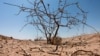 «مرحله سوم خشکسالی در ایران آغاز شده است»