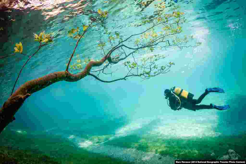 Third Place: "Diver in Magic Kingdom" by Marc Henauer. Grüner See, Tragöss, Austria. "Green Lake (Grüner See) is located Tragöss Austria. In spring snowmelt raises the lake level about 10 meters. This phenomenon, which lasts only a few weeks covering the hiking trails, meadows, trees. The result is magical to watch diving landscapes." 