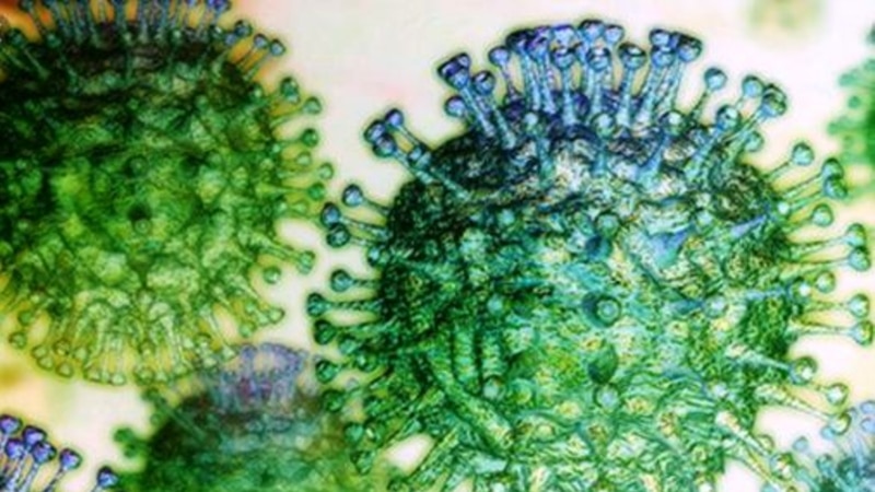 Низ светот аларм за коронавирусот, во Кина опаѓање на бројот заболени