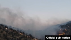 Iran--Fire in Zagros forests