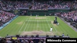 Wimbledon цього року не відбудеться