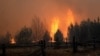 Вогонь верхівками дерев наближається до села Острови Житомирської області. Фото Віталія Юшкевича. 16 квітня 2020 року